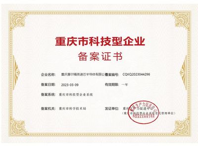 摩尔精英重庆先进封装创新中心荣获重庆市科技型企业认定
